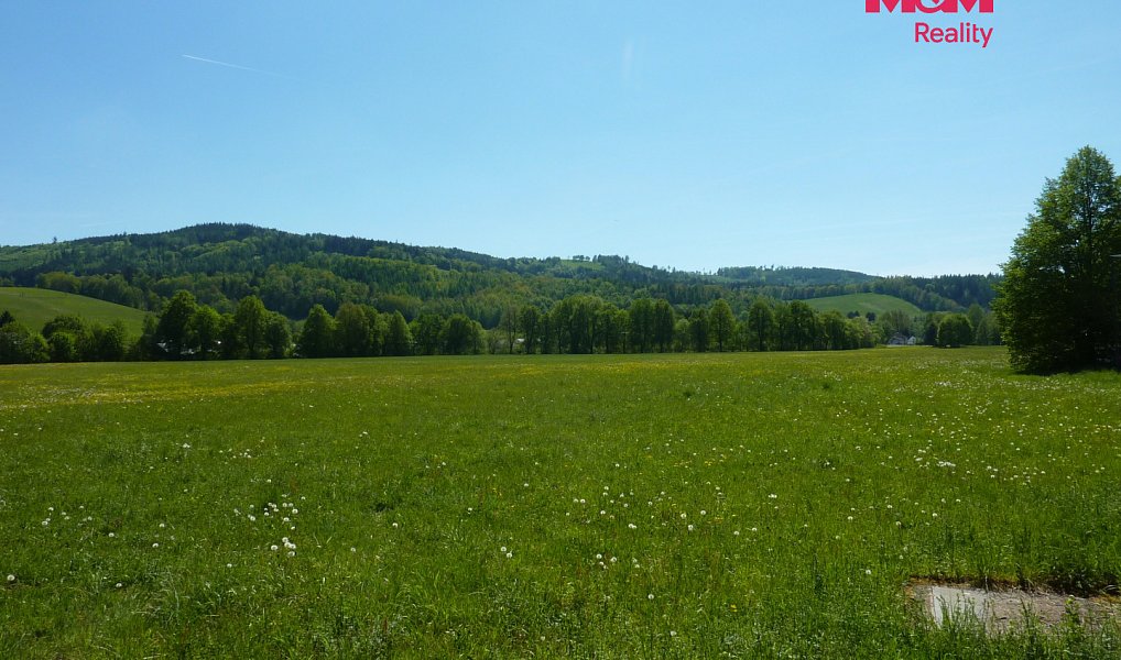 Prodej louky 20 490 m², Náchod – náhled fotky 9