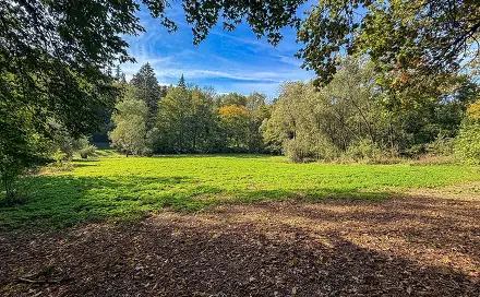 Prodej stavebního pozemku 19 850 m², Řepníky - Popovec, okres Ústí nad Orlicí