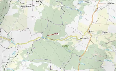 Dražba lesa 4 076 m², Velečín