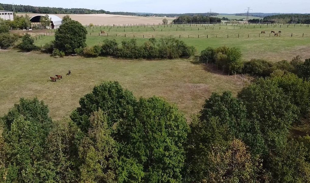 Prodej pozemku 6 229 m², Bojanovice – náhled fotky 12