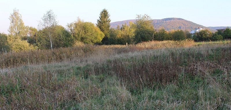 Prodej komerčního pozemku 12 121 m² – fotografie 3