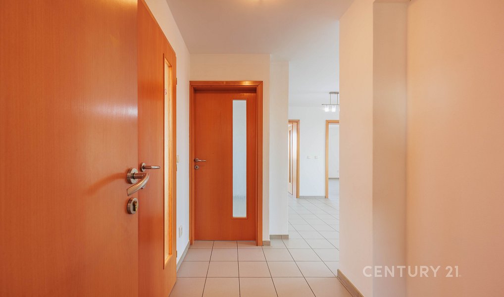 Prodej domu 240 m² s pozemkem 348 m², Bzenec – náhled fotky 14