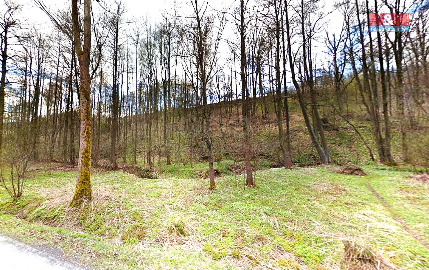 Prodej louky 2 797 m² — photo 3
