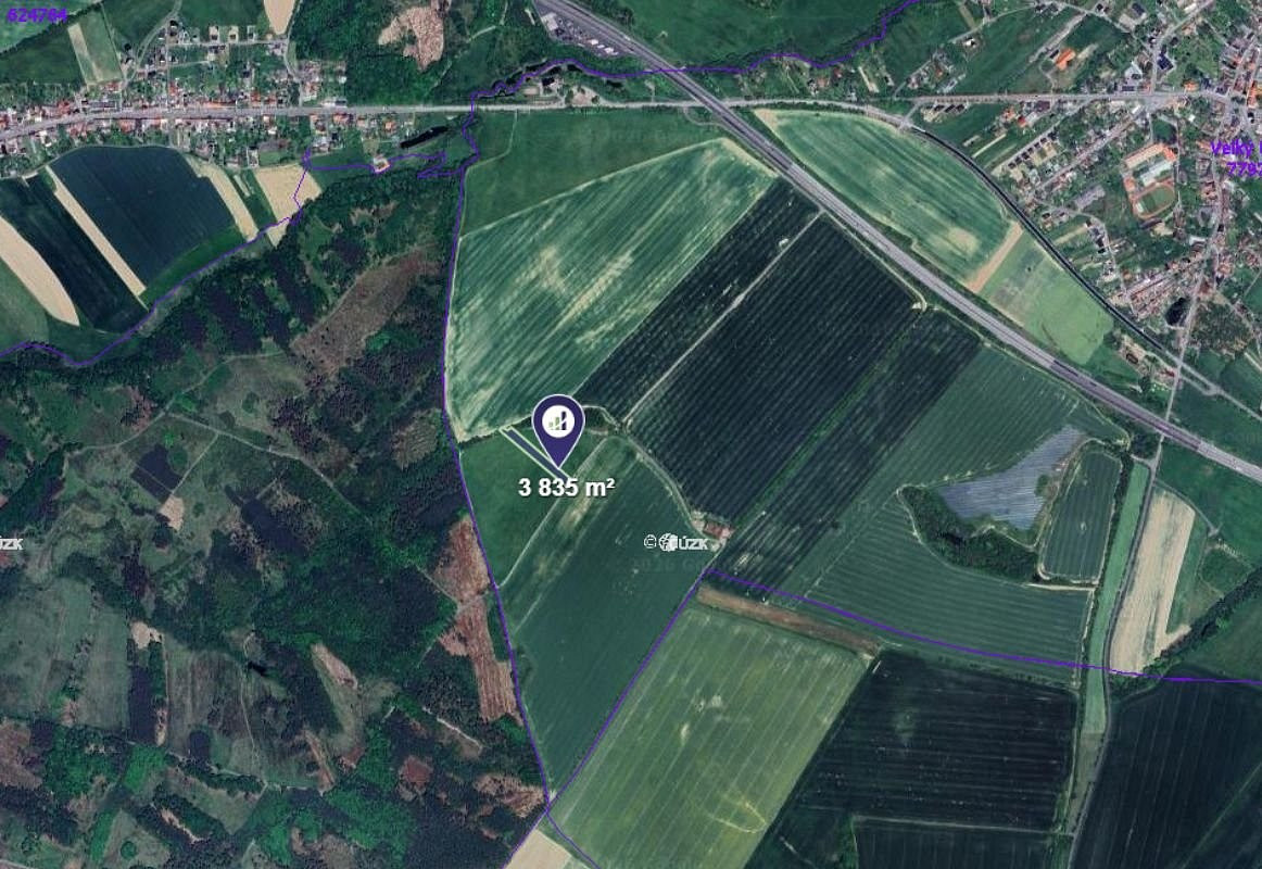 Prodej pole 3 835 m² – fotografie 2