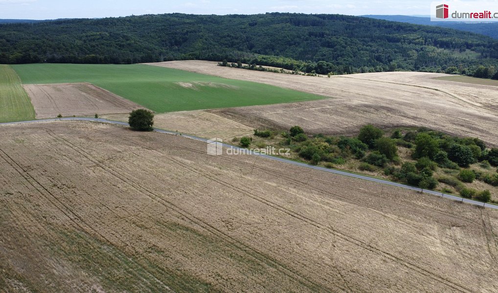 Prodej pozemku 3 943 m², Sýkořice – náhled fotky 9