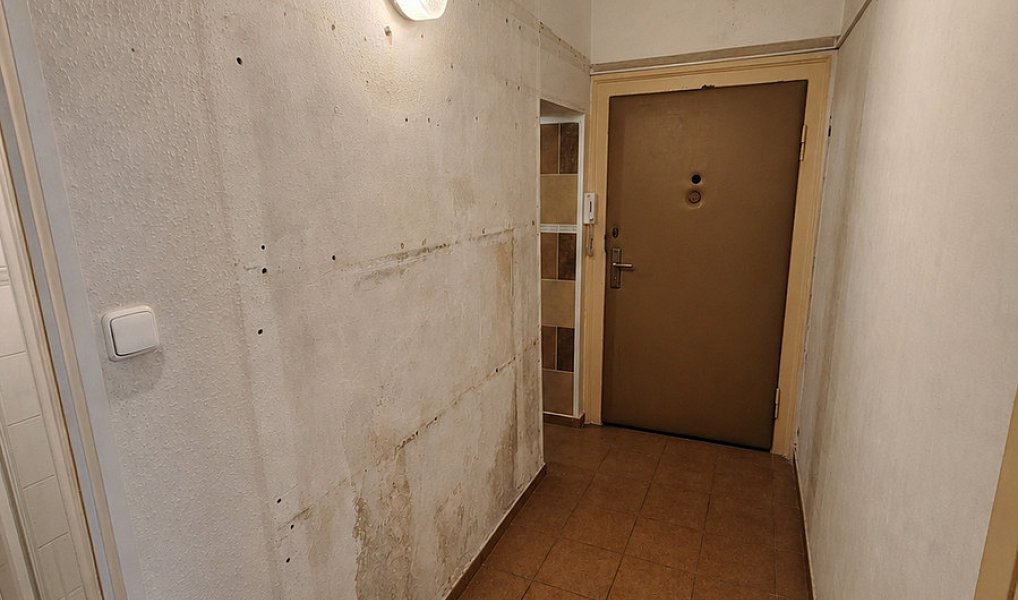 Prodej bytu 1+kk 37 m², Plzeň – náhled fotky 7