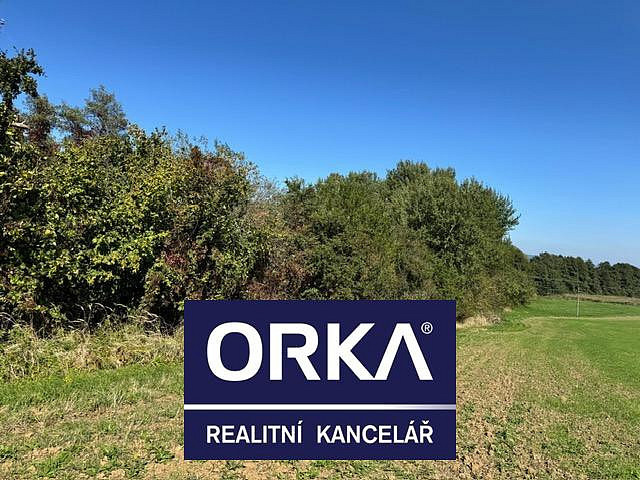 Prodej louky 7 785 m² — photo 3