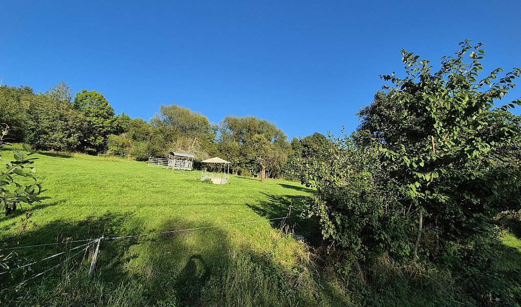 Prodej stavebního pozemku 1 640 m², Radostná pod Kozákovem – náhled fotky 5