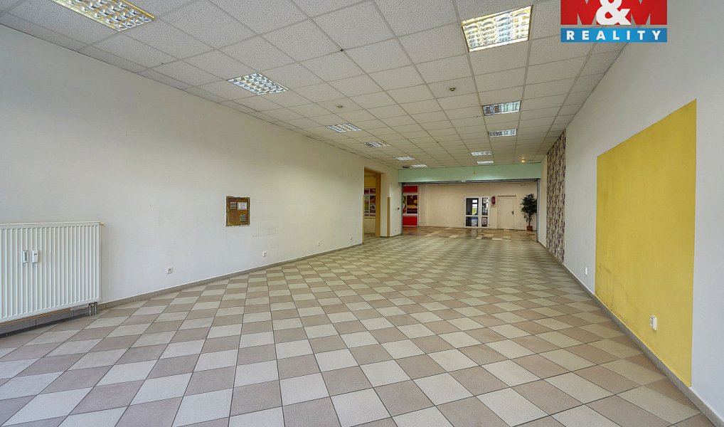 Pronájem obchodních prostor 133 m², Třemošná – náhled fotky 8