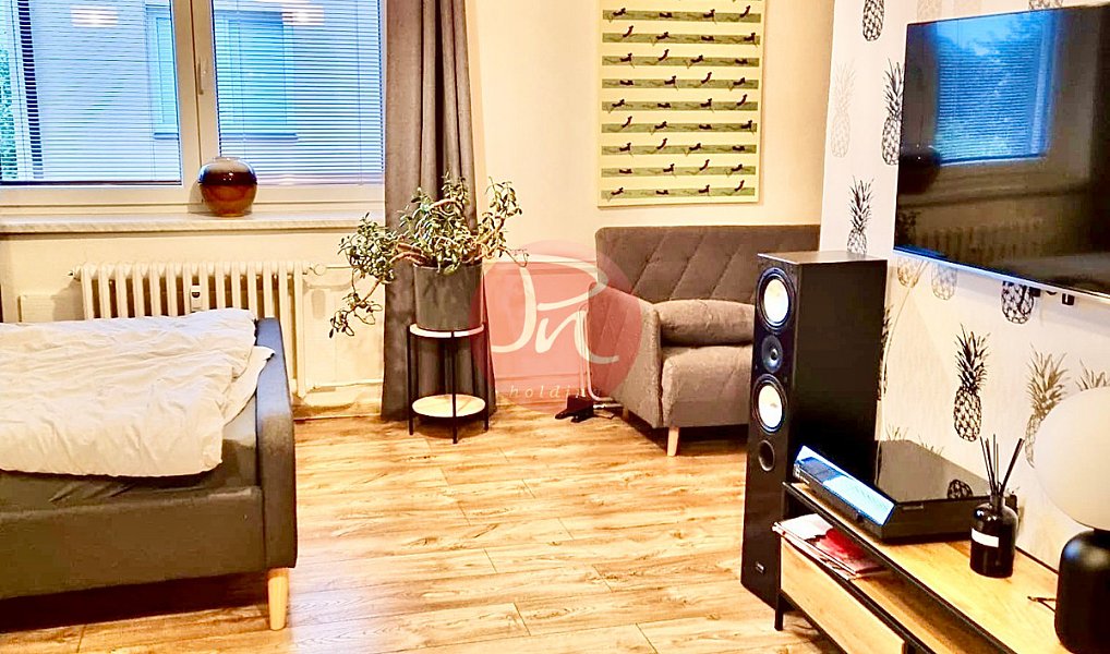 Pronájem bytu 1+1 40 m², Ostrava – náhled fotky 7