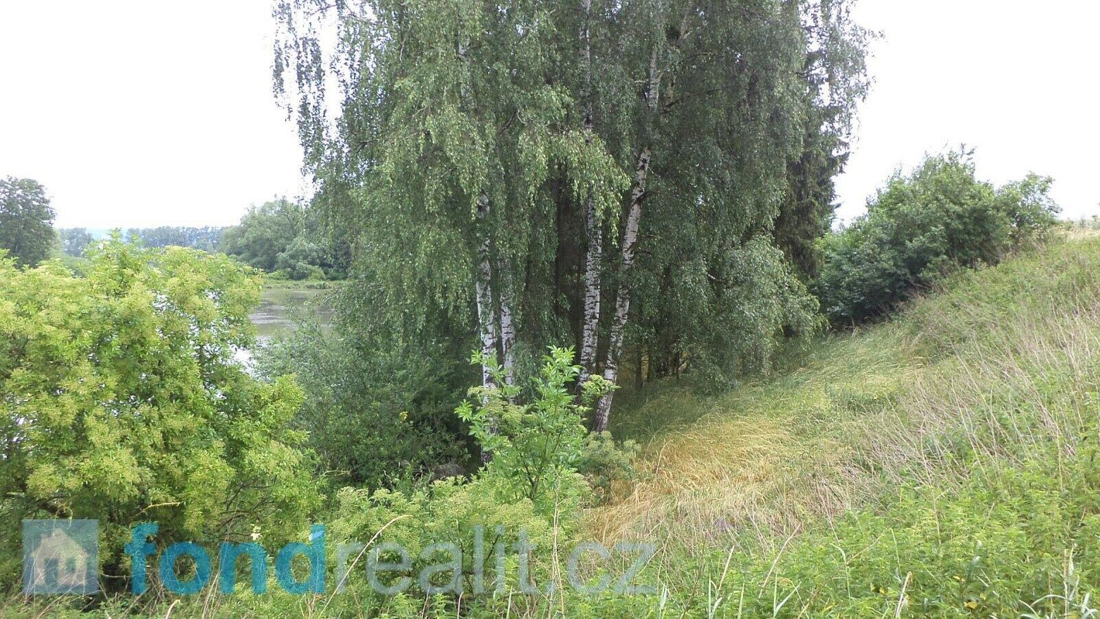 Prodej pozemku 4 992 m² – fotografie 2