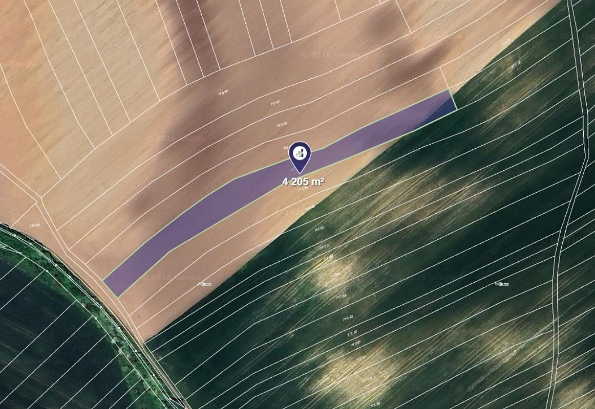 Prodej pole 4 205 m²