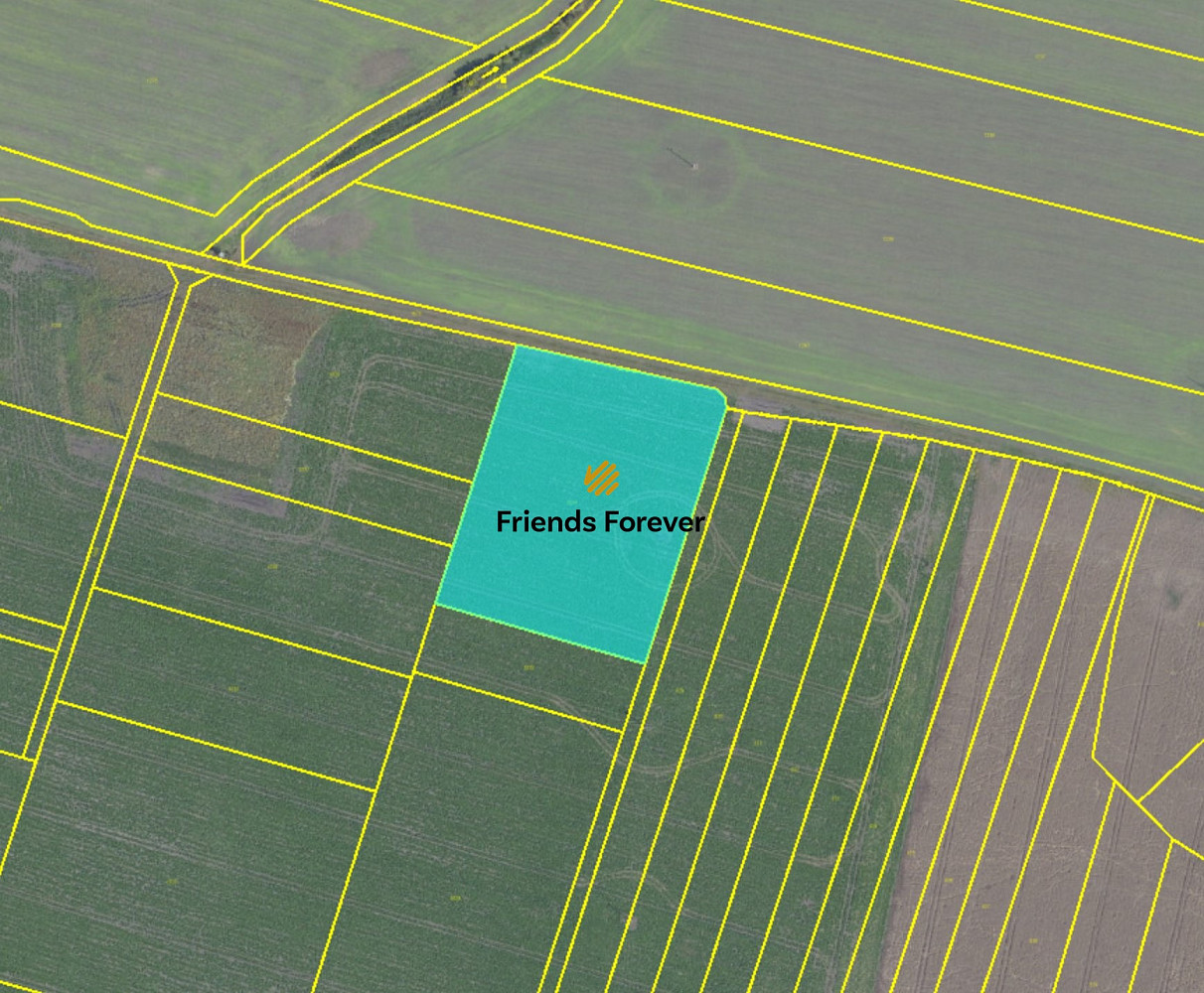 Fotka 3 z 3