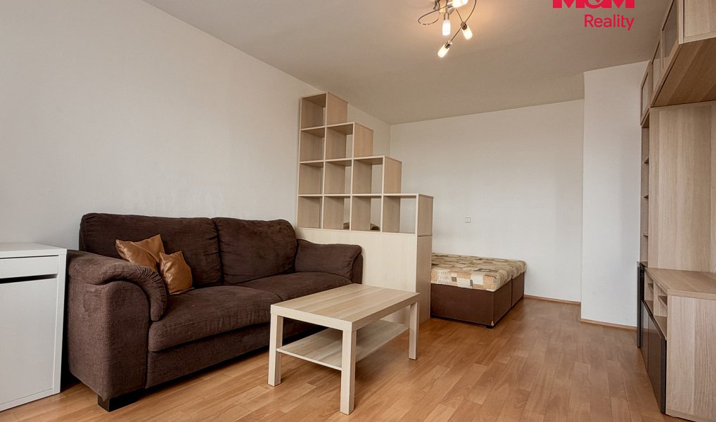 Pronájem bytu 1+1 53 m², Praha – náhled fotky 4