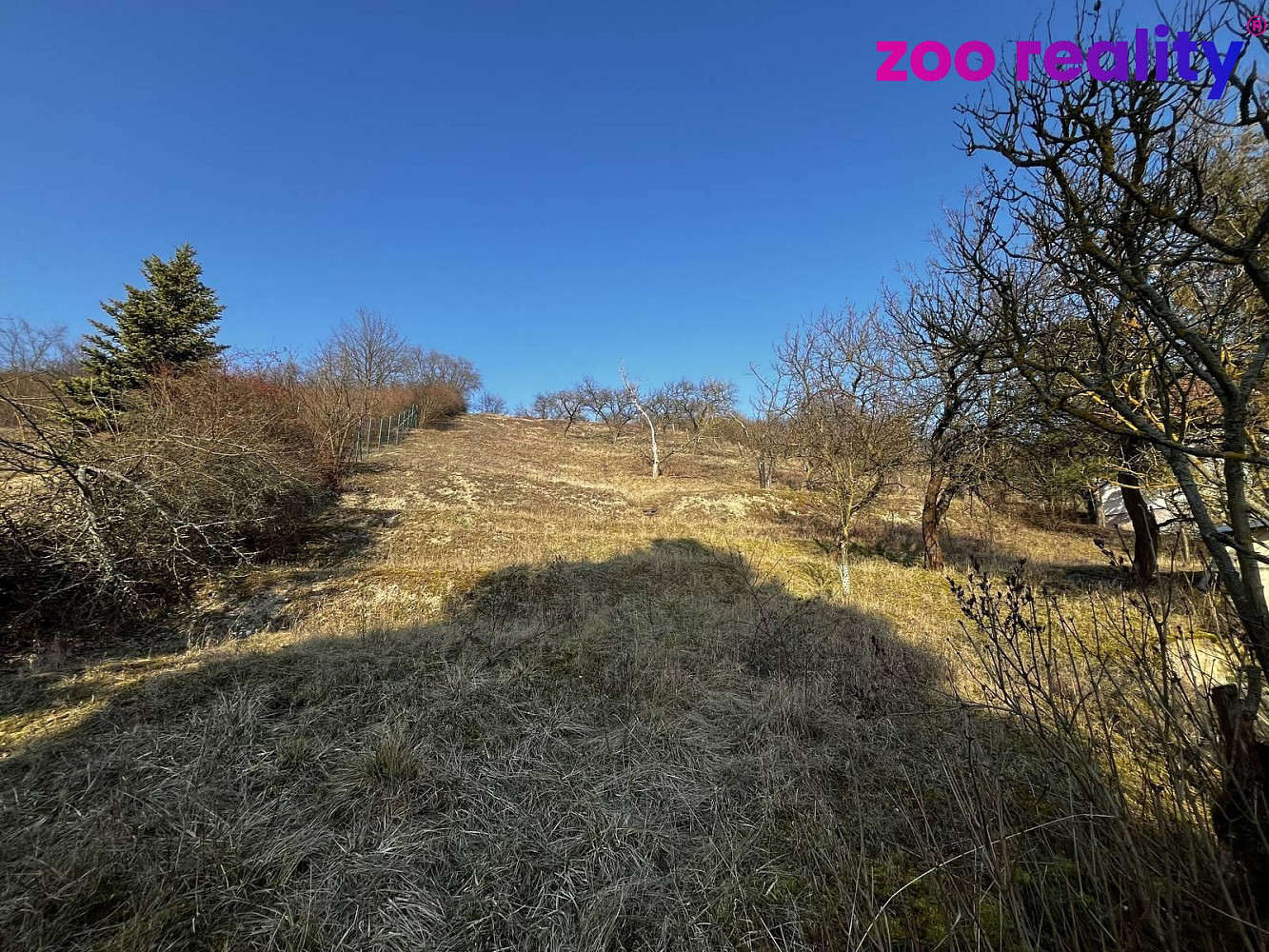 Fotka 14 z 19