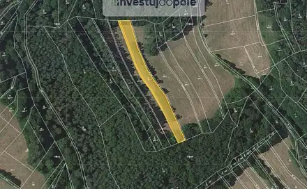 Prodej louky 2 704 m², Vranová Lhota, okres Svitavy