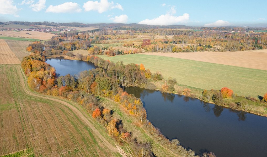 Prodej stavebního pozemku 700 m², Osová Bítýška – náhled fotky 3