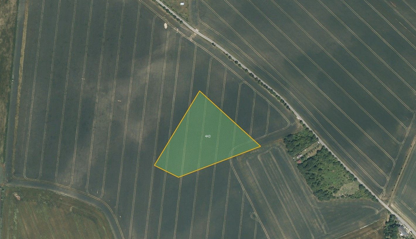 Prodej pole 43 275 m² — photo 3