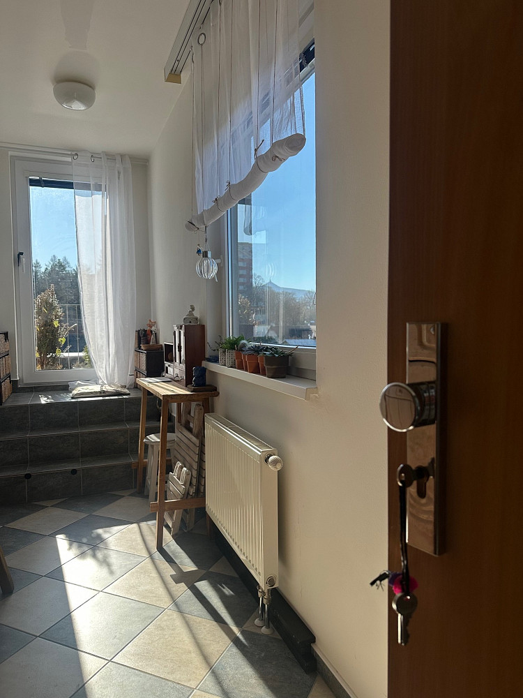 Pronájem bytu 1+1 58 m² - Widok 6