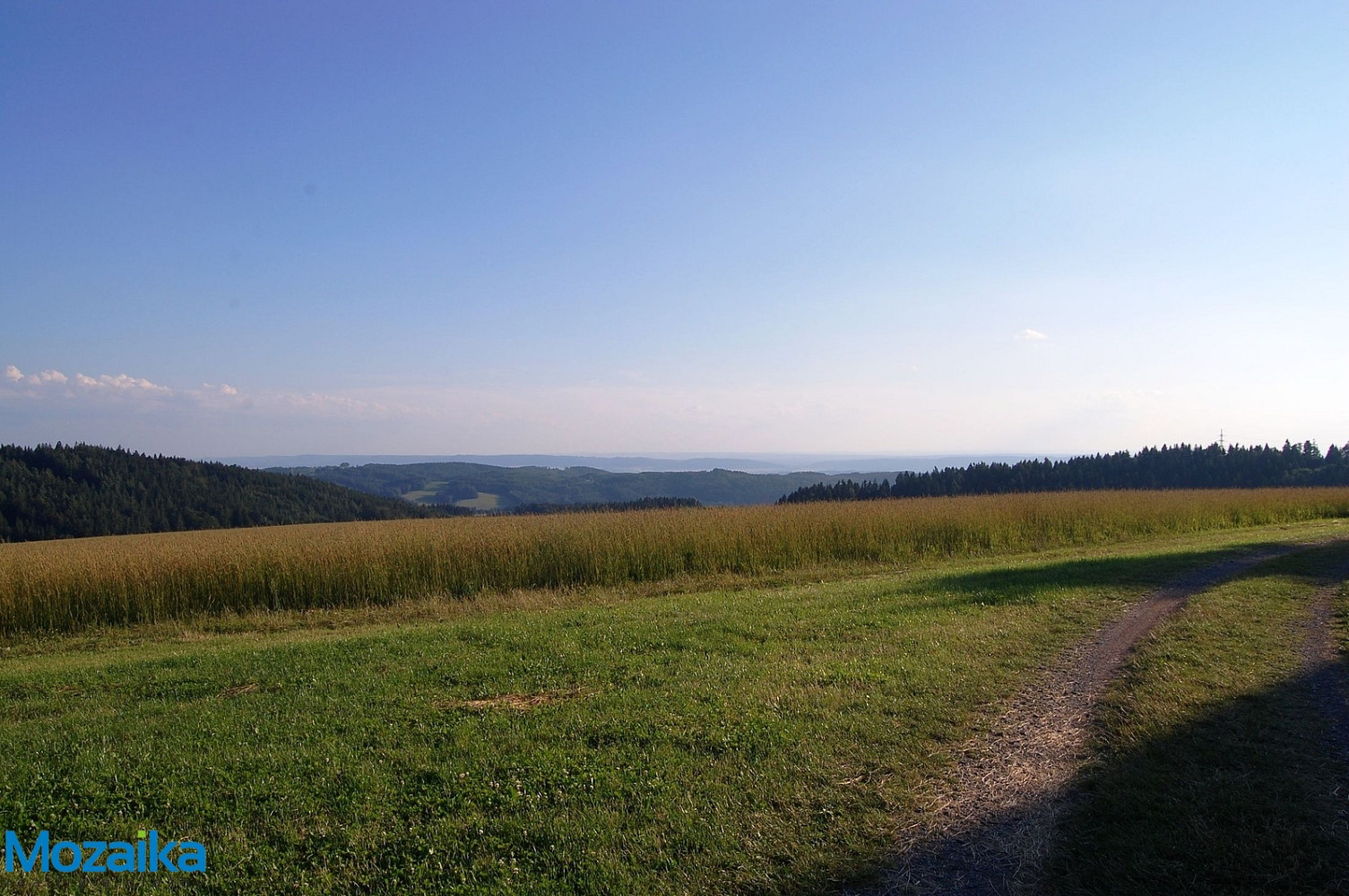 Prodej louky 867 m²