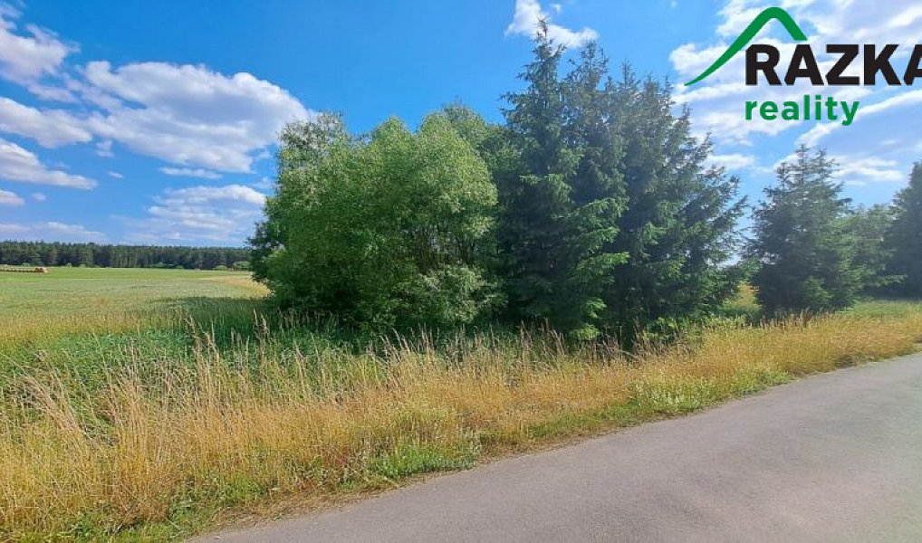 Prodej zahrady 393 m², Tisová – náhled fotky 6