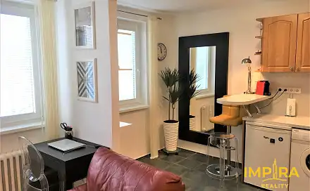 Pronájem bytu 1+1 29 m²