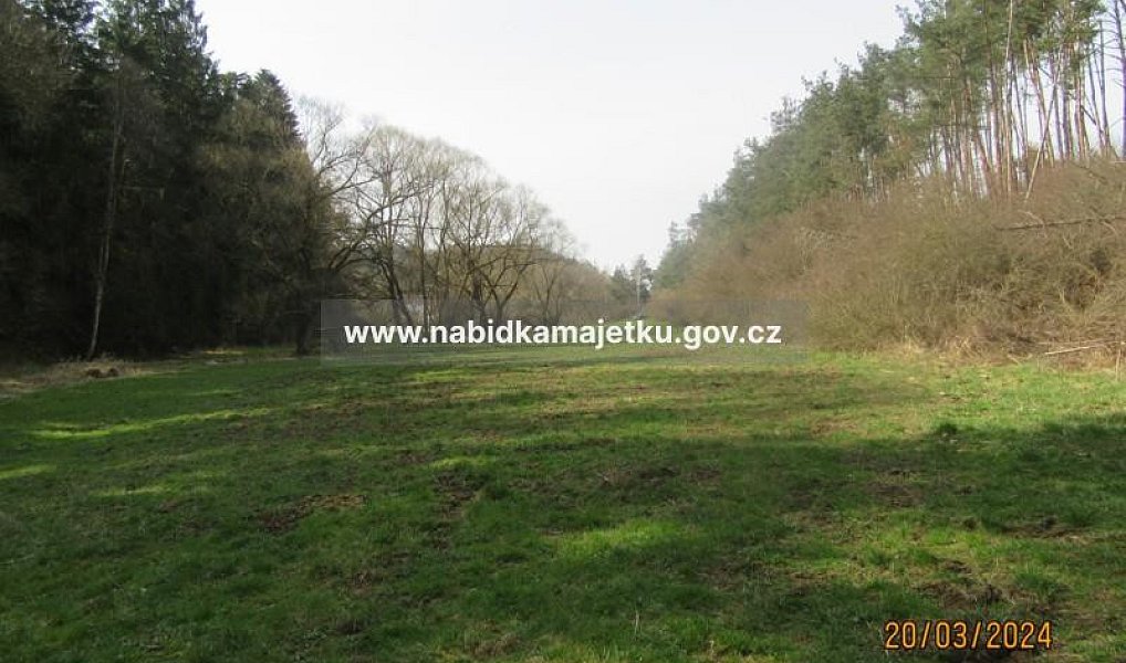 Prodej pozemku 2 519 m², Mlečice – náhled fotky 4