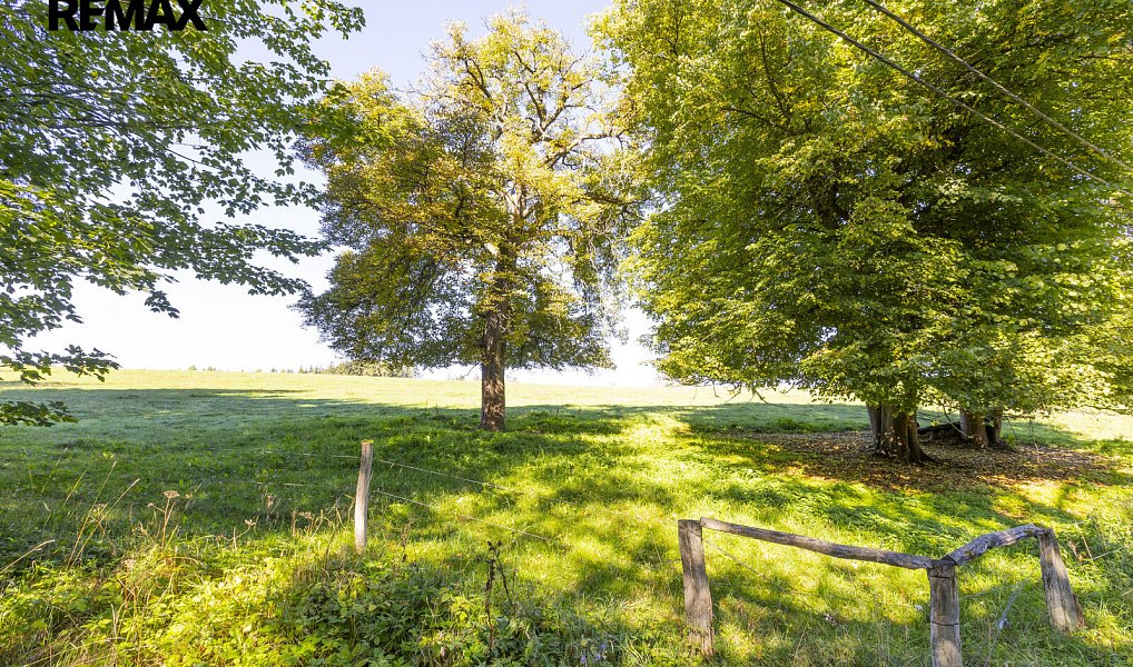 Prodej stavebního pozemku 4 759 m², Teplice nad Metují – náhled fotky 5