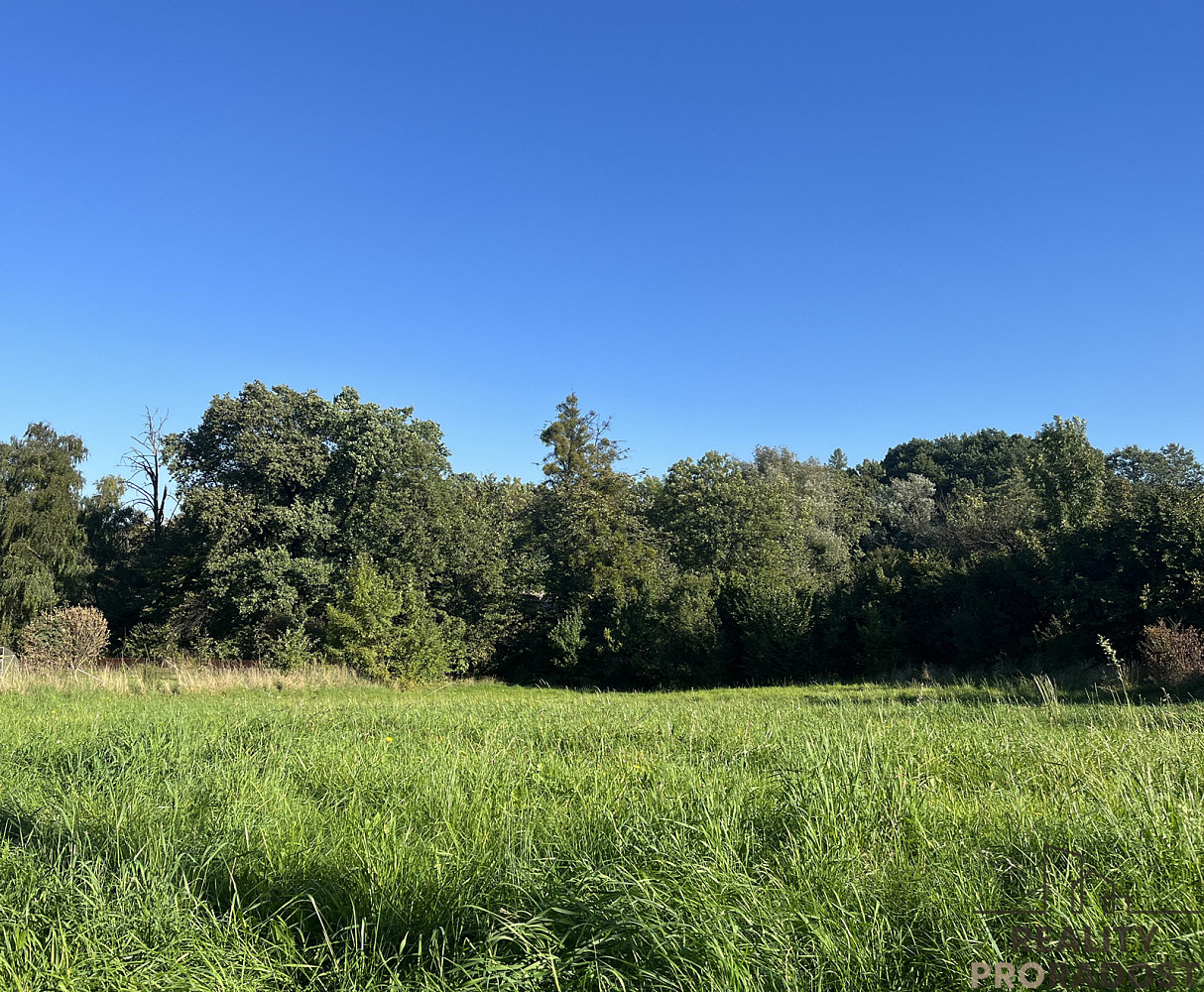 Prodej komerčního pozemku 2 450 m² – fotografie 4