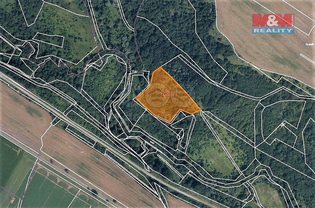 Prodej louky 10 278 m² — photo 5