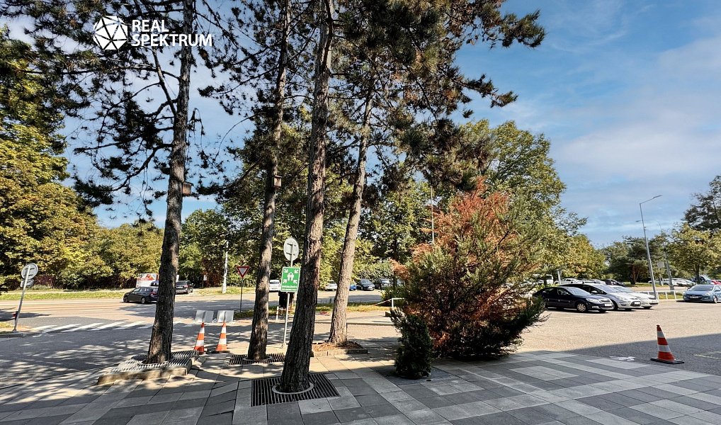 Pronájem kanceláře 313 m², Brno – náhled fotky 26