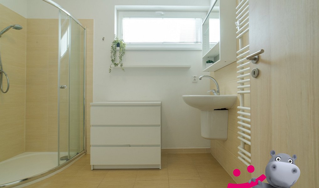Prodej domu 158 m² s pozemkem 735 m², Ostrata – náhled fotky 23