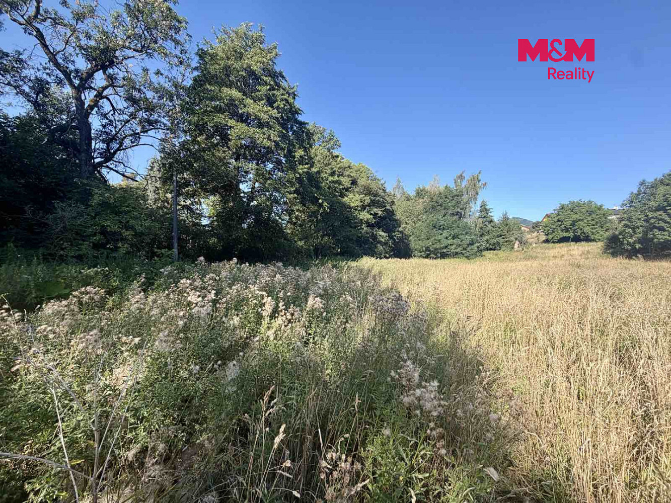 Prodej stavebního pozemku 5 378 m² – fotografie 5