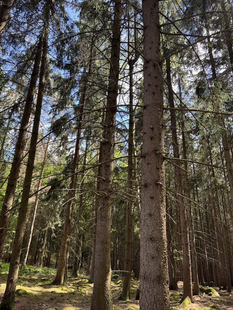 Fotka 6 z 14