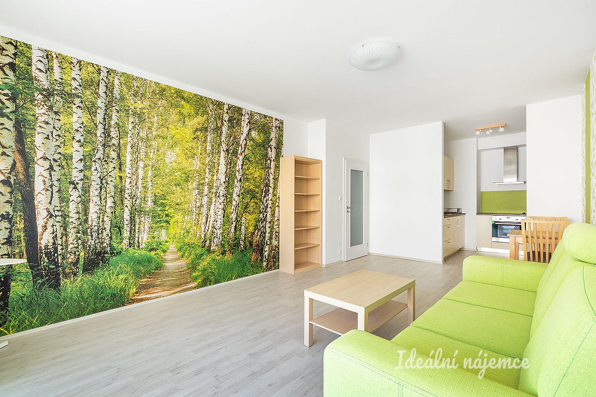 Pronájem bytu 2+kk 55 m² — photo 5