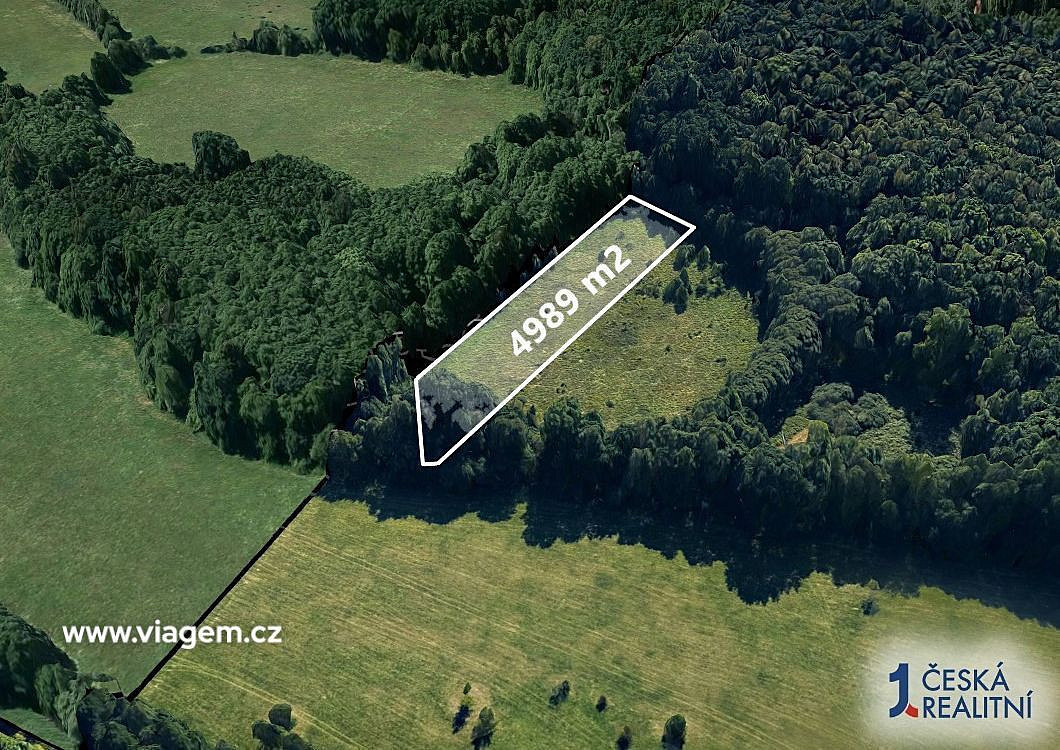 Prodej louky 4 989 m²