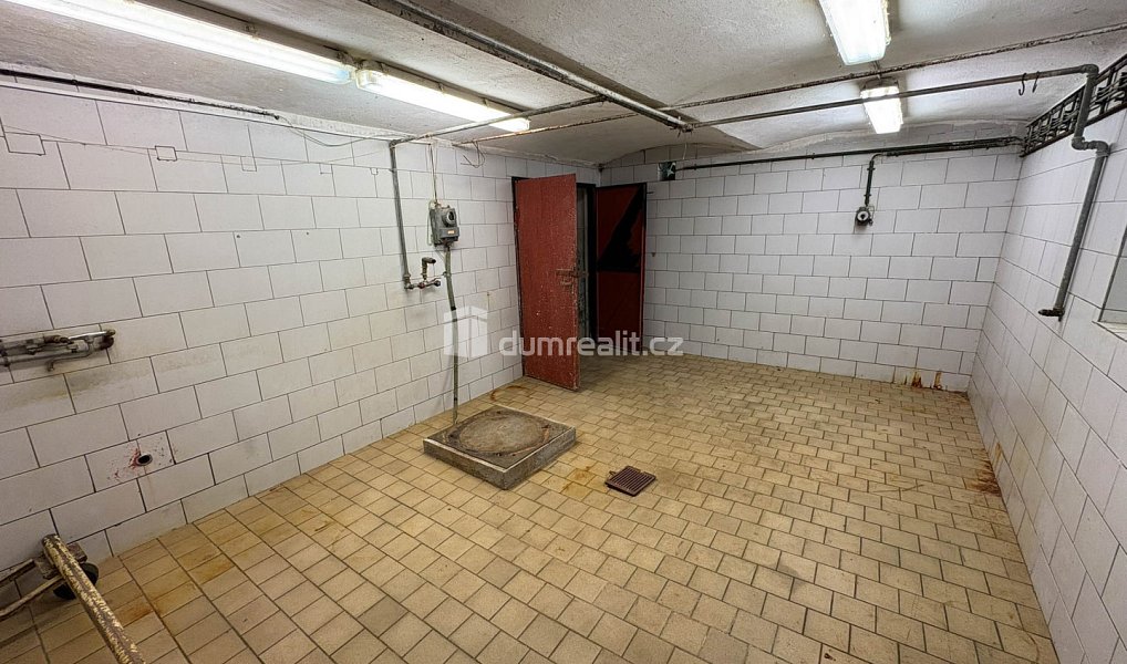 Prodej domu 505 m² s pozemkem 4 038 m², Zvěstov – náhled fotky 17