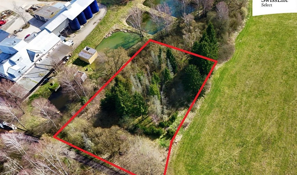 Prodej lesa 4 442 m², Rodvínov – náhled fotky 3