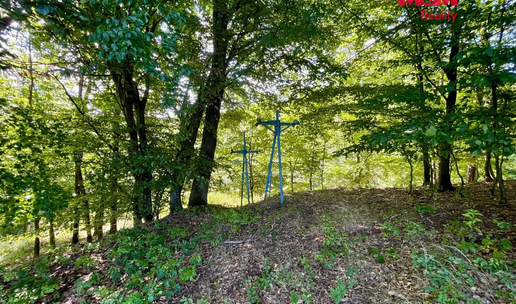 Prodej lesa 5 050 m², Hranice – náhled fotky 3