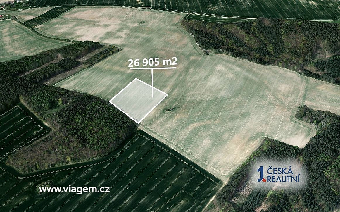 Prodej pole 2 391 m² – fotografie 2