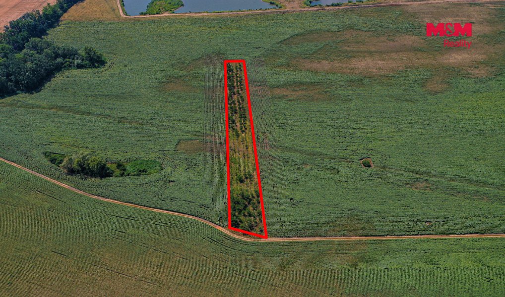 Prodej pole 14 490 m², Zaječí – náhled fotky 15