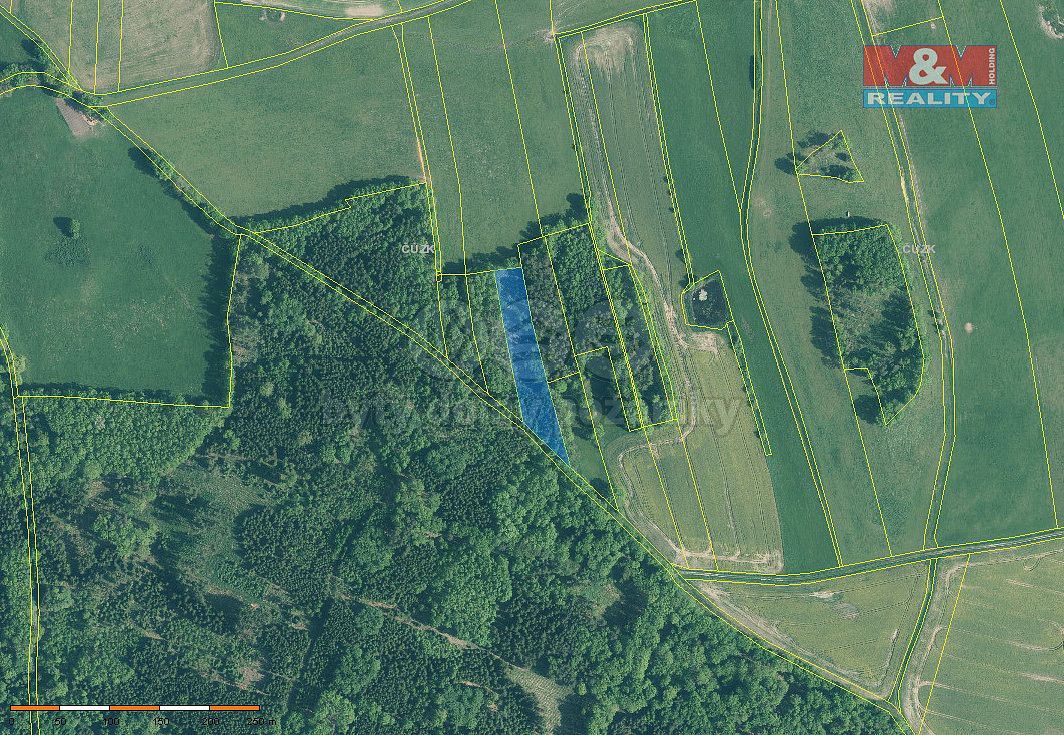 Prodej lesa 5 564 m²