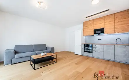 Pronájem bytu 1+kk 36 m²