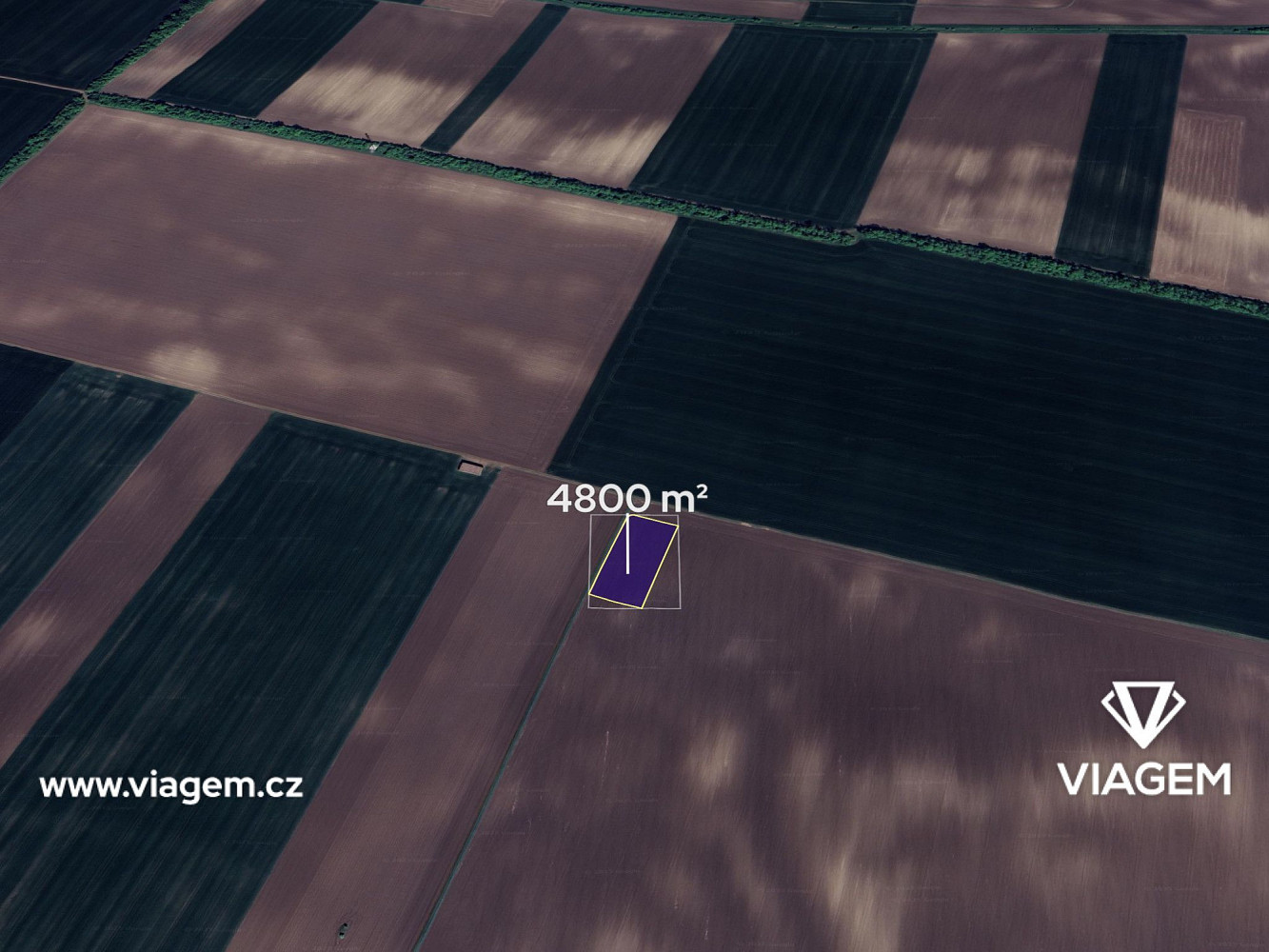 Prodej pole 4 800 m²