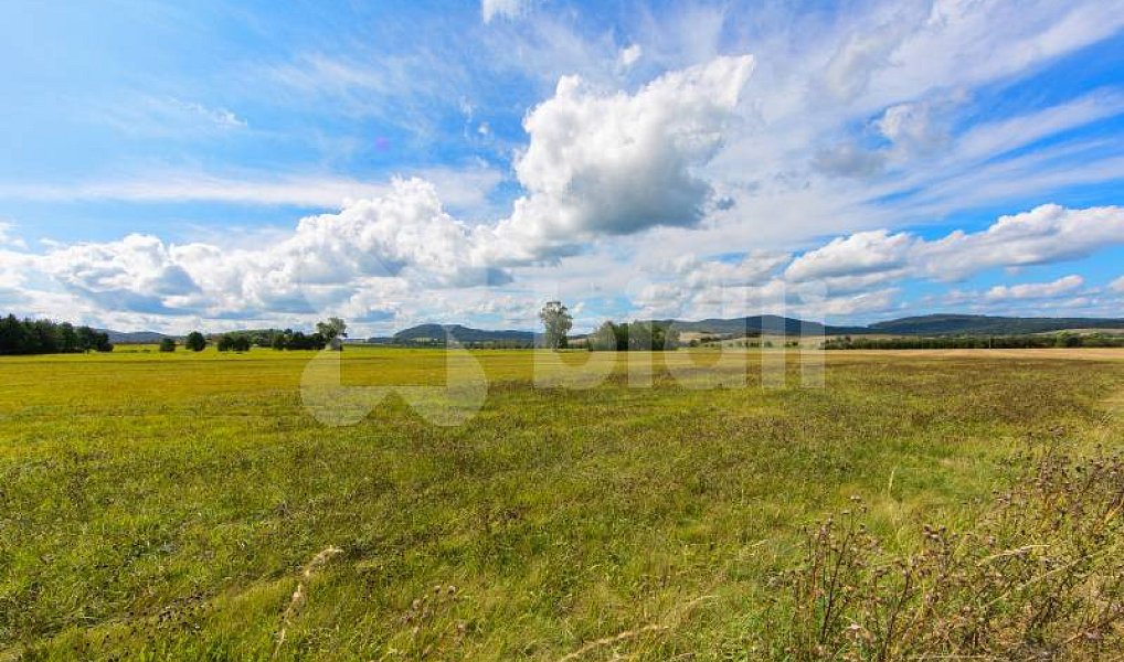 Prodej stavebního pozemku 3 324 m², Nýrsko – náhled fotky 3