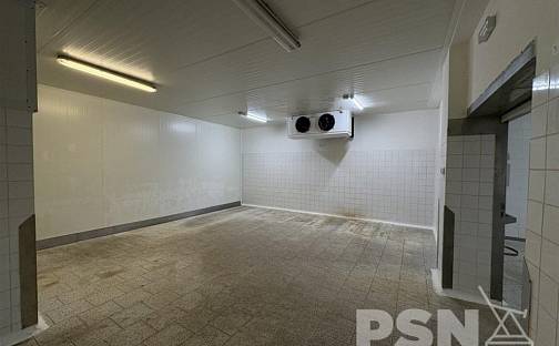 Pronájem výrobních prostor 949 m², U Vlečky, Brno - Komárov