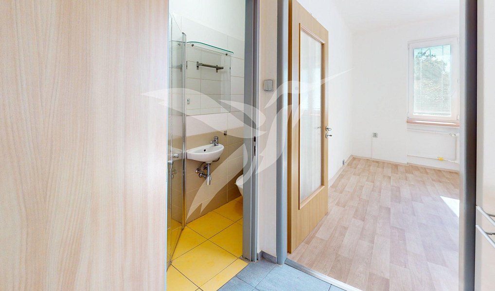 Pronájem bytu 1+kk 18 m², Plzeň – náhled fotky 6