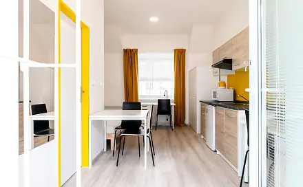 Pronájem bytu 1+kk 20 m², Václavská, Brno - Staré Brno