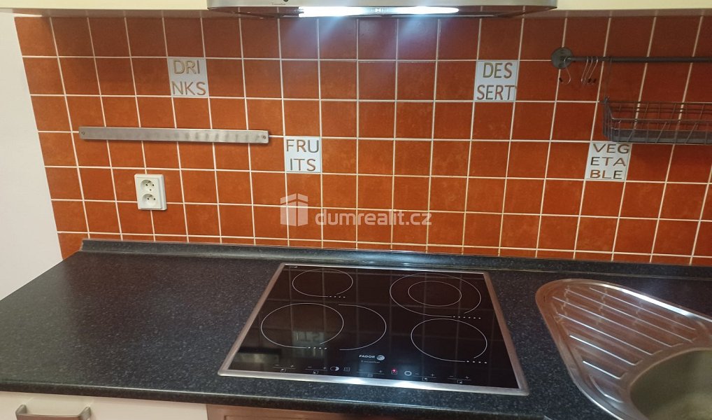 Prodej bytu 3+kk 60 m², Jílové – náhled fotky 19