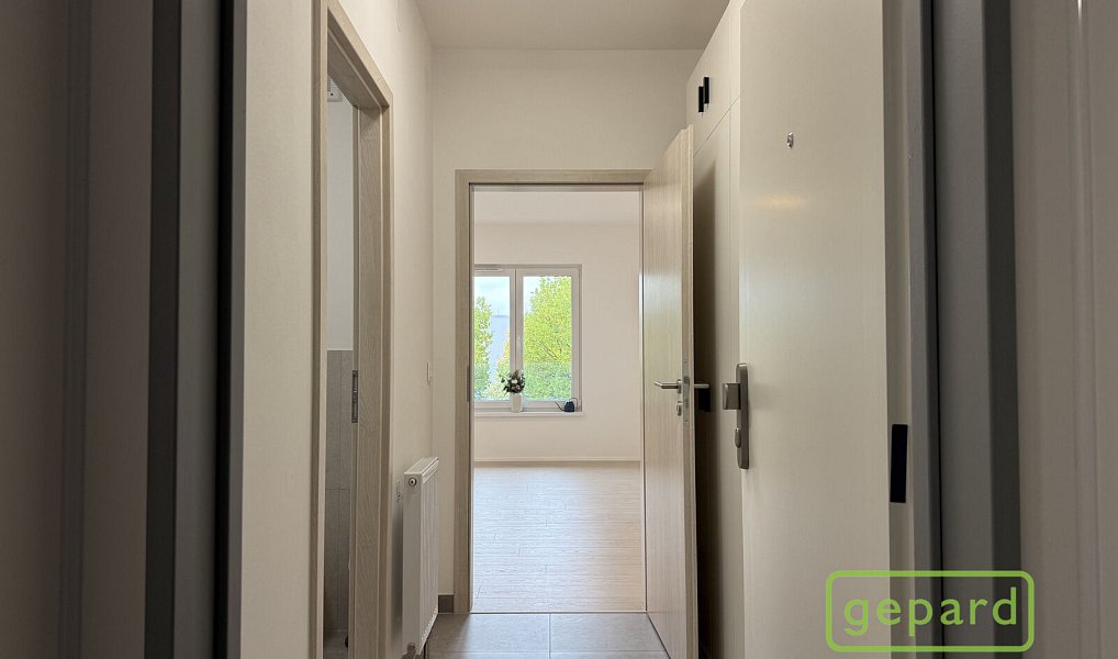 Pronájem bytu 1+kk 26 m², Mohelnice – náhled fotky 3
